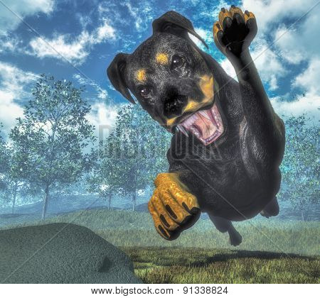 Rottweiller dog running - 3D render