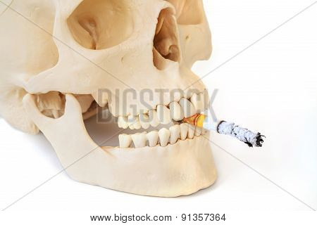 Smoking Kills, Stop Smoking.