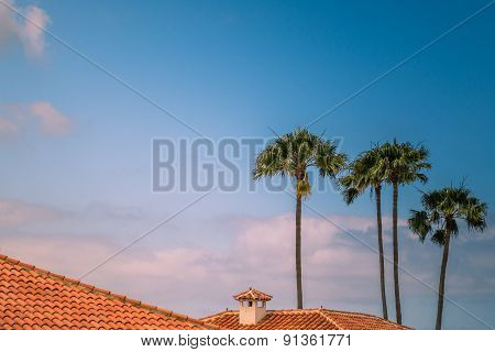 Rooftops and palmtrees