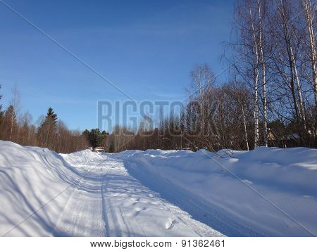 Road in the snow and forest around