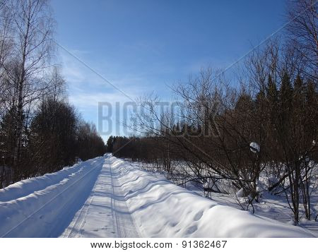 Road in the snow and forest around