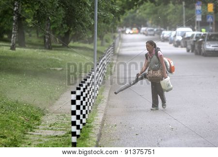 Woman Cleaning Park Footpath
