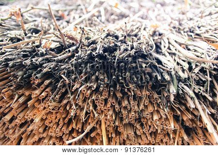 Hay roof fragment.