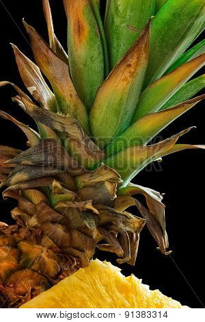 Pineapple #2
