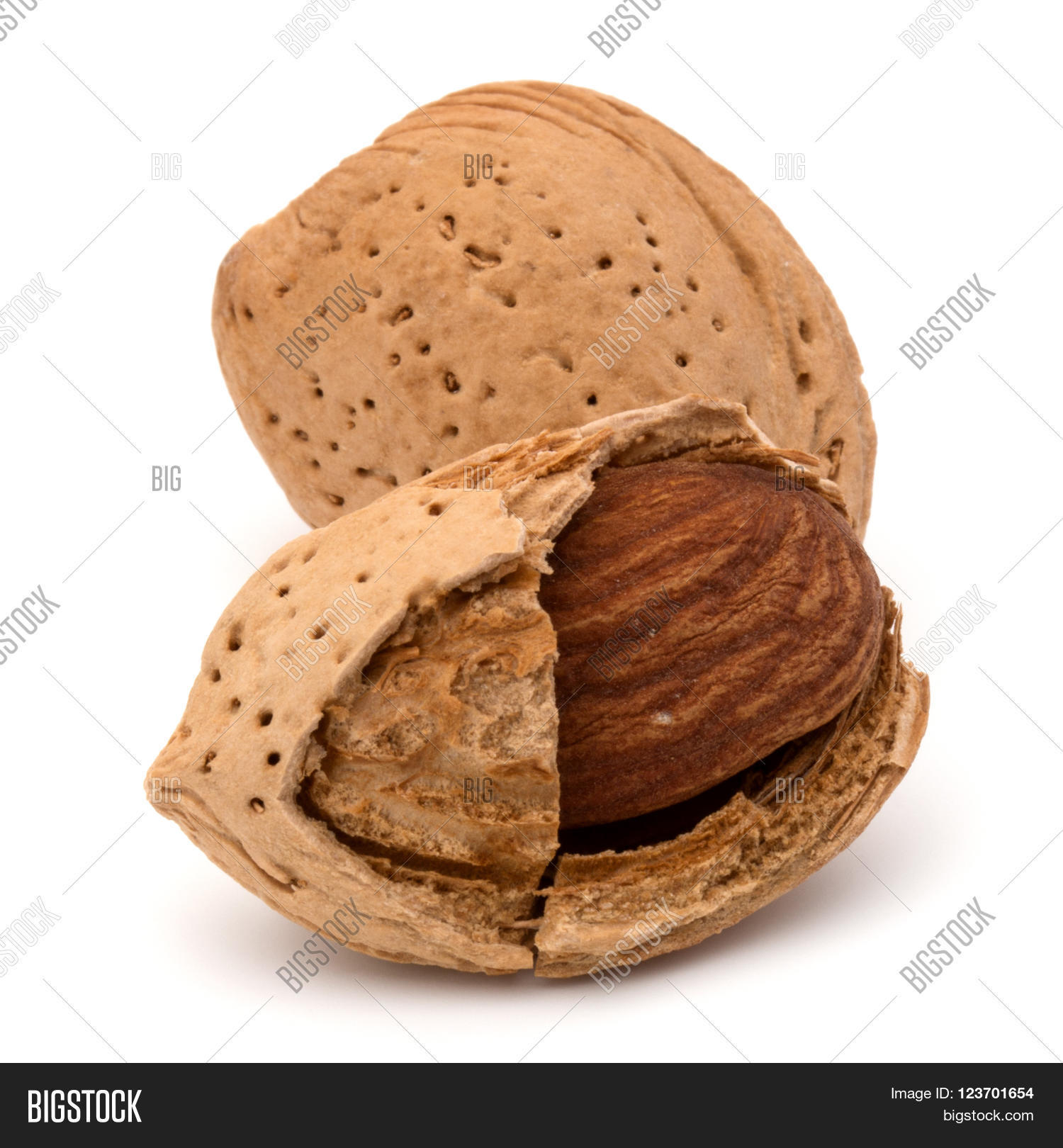 Almondsnut Shell Almond Nut Shell Image & Photo (Free Trial) | Bigstock