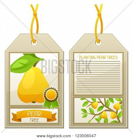 Sale tag of seedlings pear trees. Instructions for planting tree.