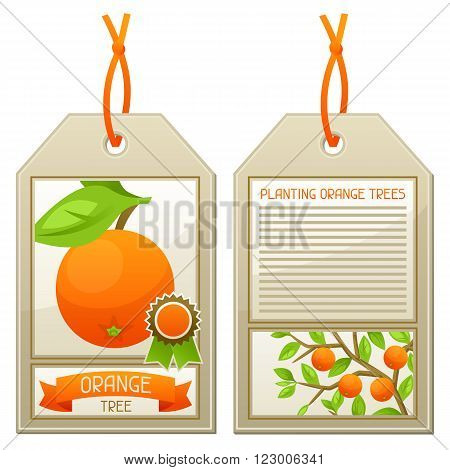 Sale tag of seedlings orange trees. Instructions for planting tree.