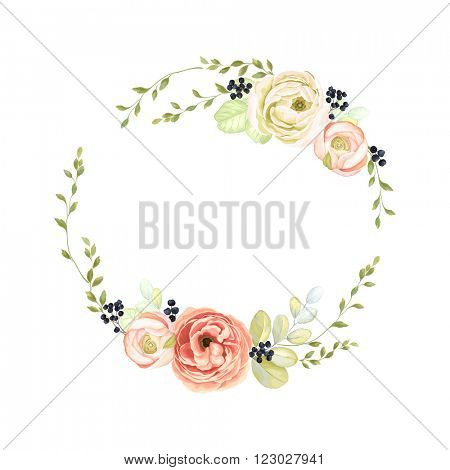 Cute wreath with green branches, ranunculus, wild Privet Berry and leaf, vector illustration in vintage watercolor style.