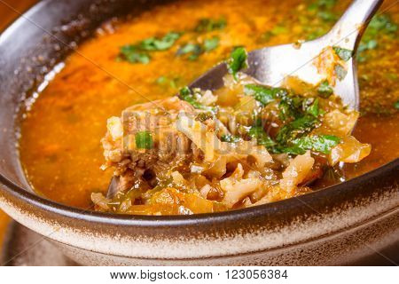 Kharcho. Spicy Georgian meat and vegetable soup