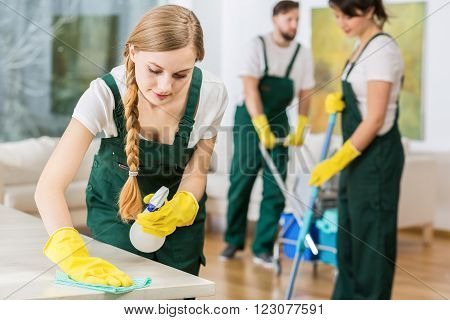 Girl Polishing The Table