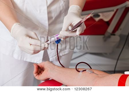 Les dons de sang en laboratoire sang sang