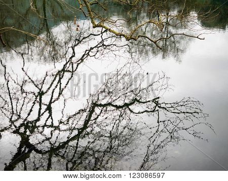 small lake louros with trees and fresh water in north Greece close to Ioannina