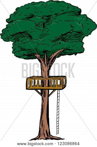 Isolated Tree With Treehouse Ladder
