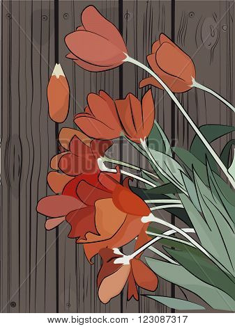 orange red tulips on the wood floor illustration