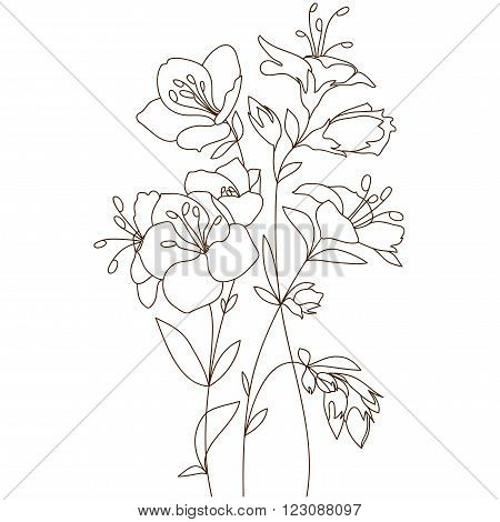 Bouquet Outline Blooming Flowers Sketch Hand Drawing