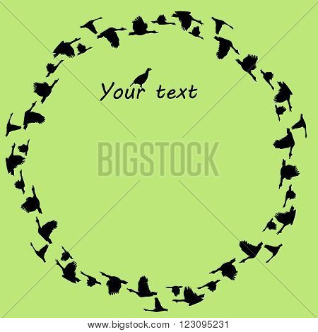 Vector circular background with silhouettes flying geese