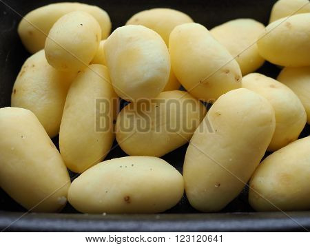 Potato Vegetables In A Tub