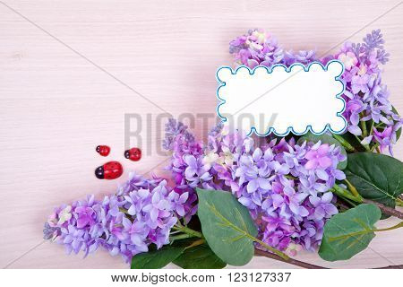 Bunch of violet lilac with ladybirds and card for text on wooden background