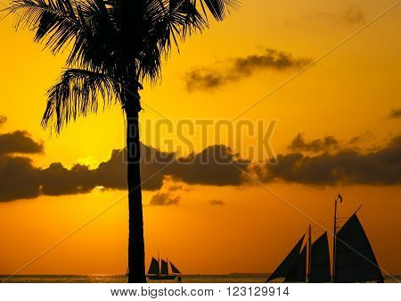 KEY WEST, USA - MAY 10, 2015: The tangerine sunset sky with some clouds above the Key West Bight with the silhouettes of sailing ships and a palm tree.