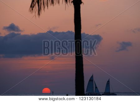 KEY WEST, USA - MAY 10, 2015: The sun glowing pink sun sinking into the sea in the Key West Bight on the already dim sky with silhouettes of sailing ships and a palm tree.