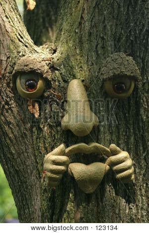 Tree Face