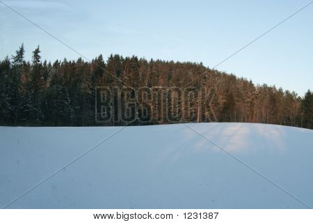 Ski Mountain