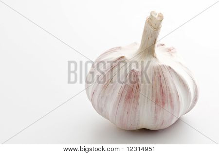 Česnek žárovky