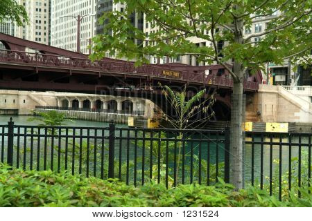 프랭클린 번이 다리