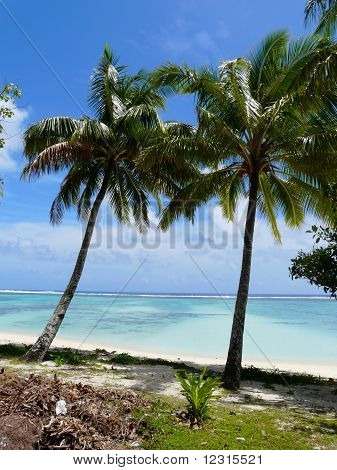 Idylliske tropisk strand på Rarotonga