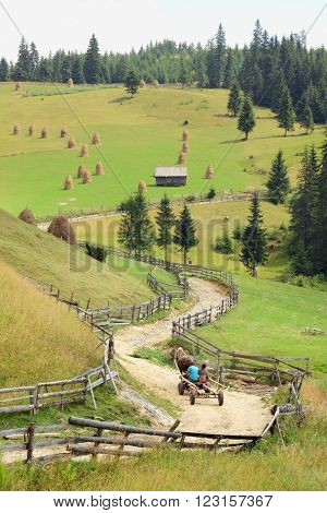 a wagon pulled by a horse it's going up a winding dirt road on the Apuseni Mountains, Romania