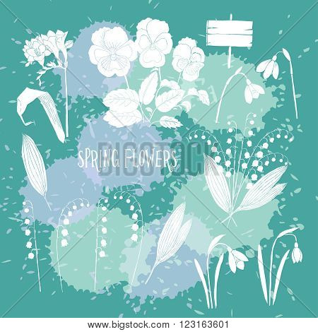 Background with  lily of the valley, galanthus and pansy. Hand drawn snowdrops flowers sketches. Vector Illustration