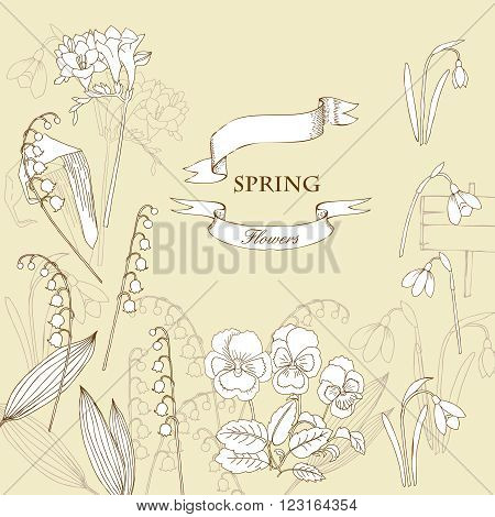 Background with  lily of the valley, galanthus and pansy. Hand drawn snowdrops flowers sketches. Vector Illustration