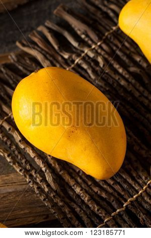 Raw Organic Yellow Mangos