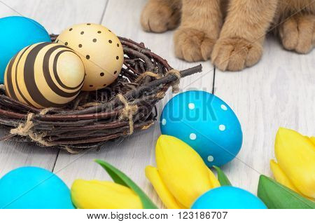 Easter eggs and rabbit / happy easter