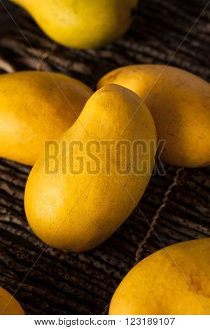 Raw Organic Yellow Mangos