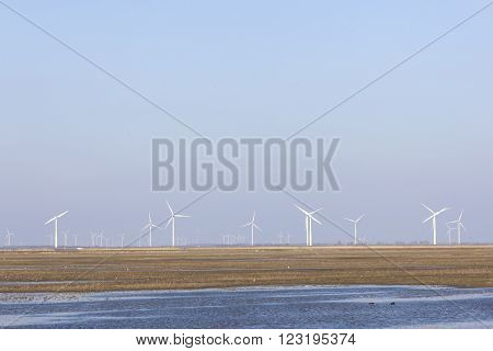 wind turbines and blue sky above eempolder in the netherlands with birds in meadow area