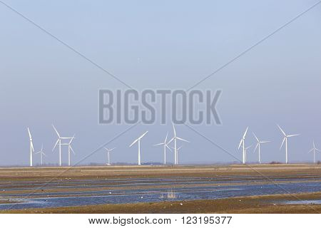 wind turbines and blue sky above eempolder in the netherlands with birds in meadow area