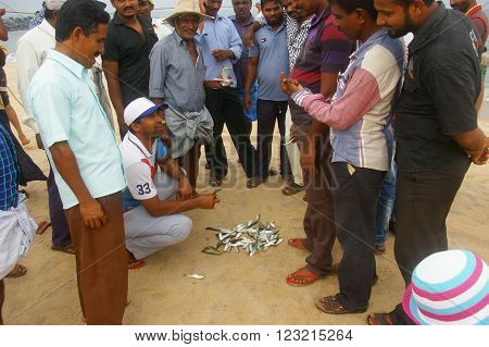 MARAVANTHE, KARNATKA/INDIA - MAY 25: Fish wholesale merchants and fishermen auctions the Sardine catch of the day at Maravanthe beach May 25, 2014 in Marvanthe, Karnataka, India.