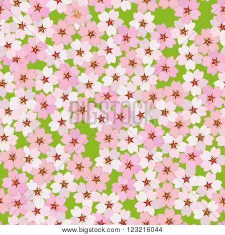 Cherry blossom. Sakura flowers. Seamless pattern. Endless floral background with copy space. Hanami. Japanese Culture. Cherry blossom viewing. Pattern fills. For decoration or printing on fabric.