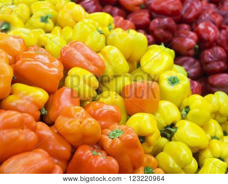 Fresh healthy bio paprika on agricultural market