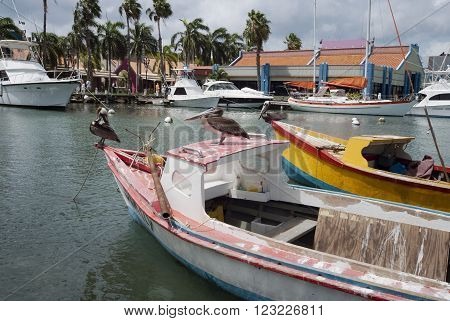 Pelicans on a small fishing boat at Oranjestad Harbor, Aruba, Caribbean islands