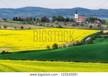 Czech Republic. South Moravia. Rapeseed field near the village of Kostelec