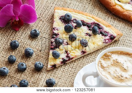 piece of sweet pie with blueberry named Wallachian Frgal. Vlachs' typical cakes baked in Valassko area Czech Republic - still life image