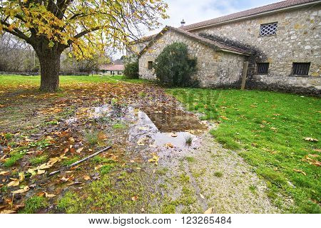 abandoned house of Tatoi Palace, the place where stayed the former greek Royal family