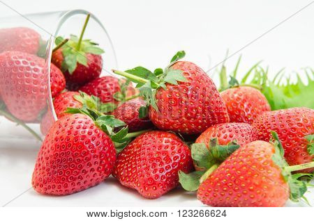 Fresh strawberry from the farm on the mountain.