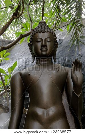 Buddha statue black with the green  tree