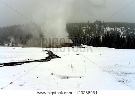 Old Faithful Geothermal geyser in winter Yellowstone National Park