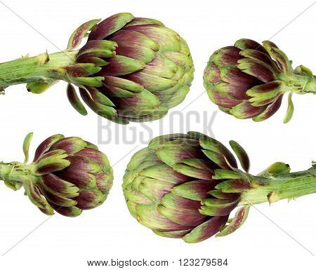 Whole Fresh Artichokes on an White Background