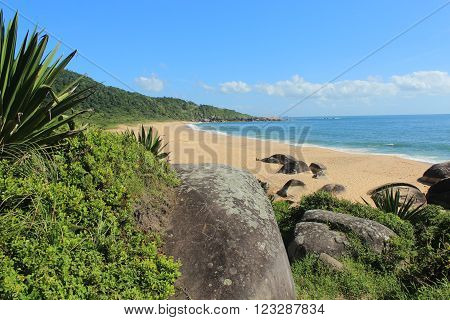 Balneário Camboriú - Brazil - Beach and Sun