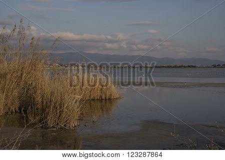 Overview of the pond Molentargius - City of Quartu S.E.
